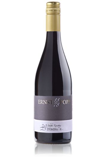2023 Iphöfer Kronsberg Domina -R- trocken