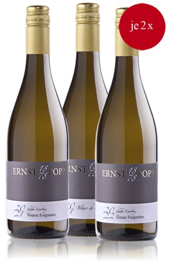 Probepaket Burgunderweine klein
