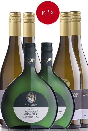 Sechs Richtige Probepaket groß