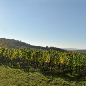 Rödelsee–Schwanleite
